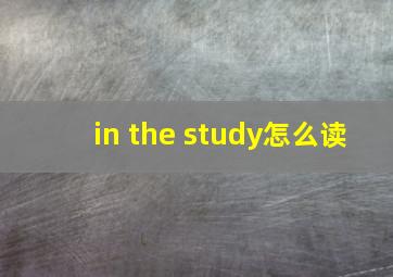 in the study怎么读